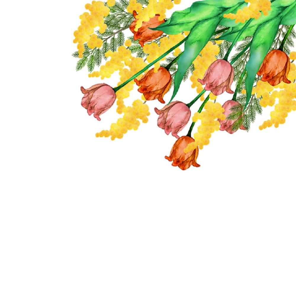 Watercolor Floral, Mimosa And Tulip Fabric Panel - White