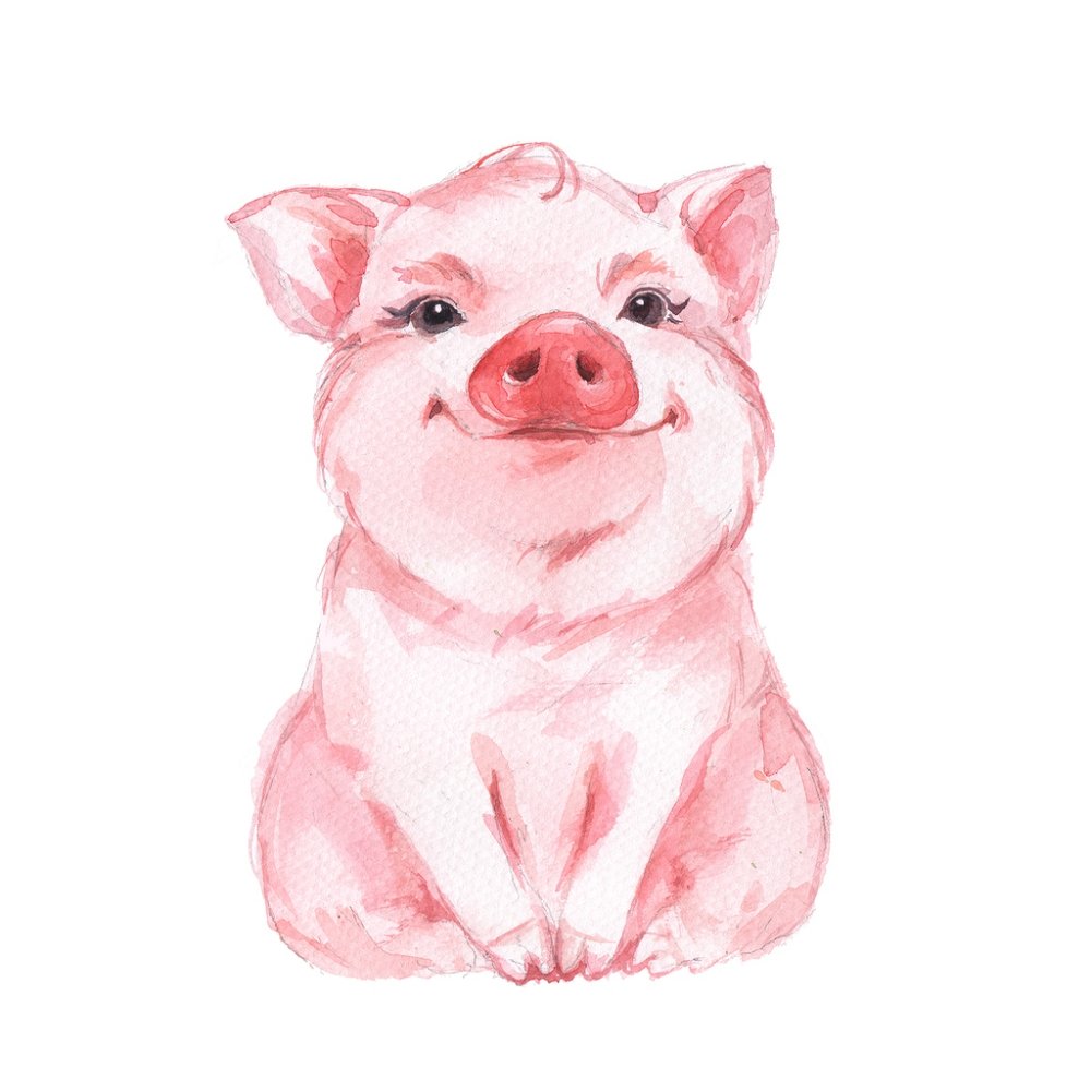 Watercolor Pig Fabric Panel - Pink