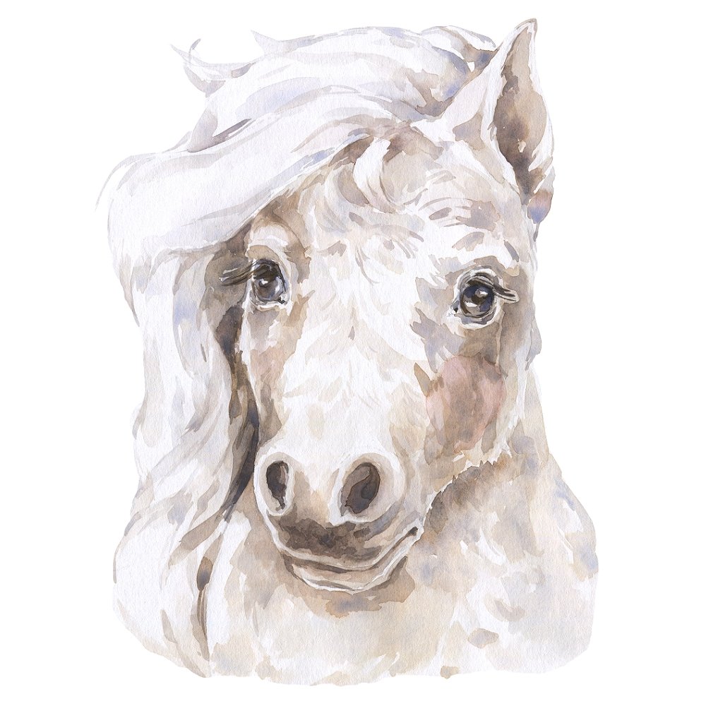 Watercolor Foal Fabric Panel
