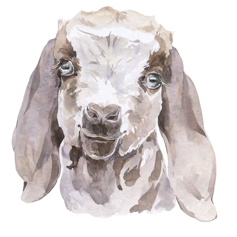 Watercolor Goatling Fabric Panel