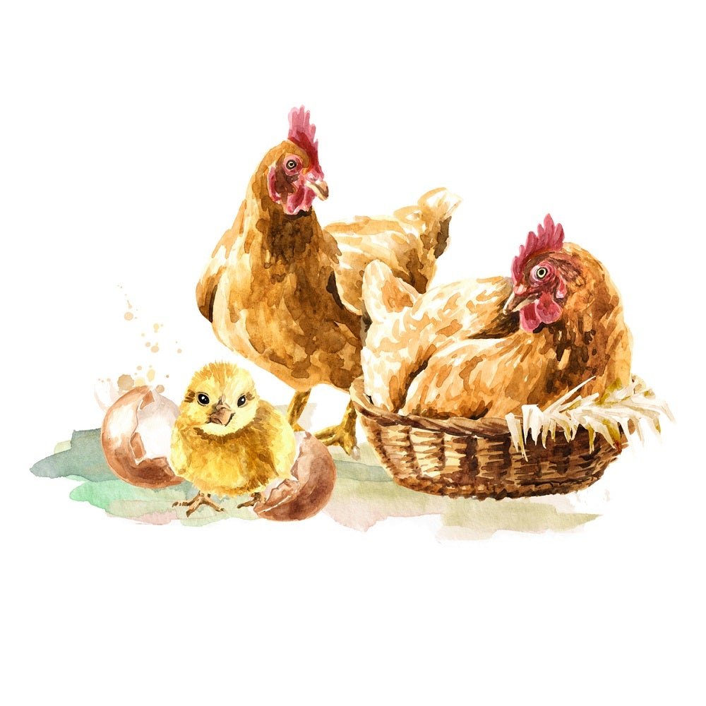 Watercolor Hens & Chicks Fabric Panel