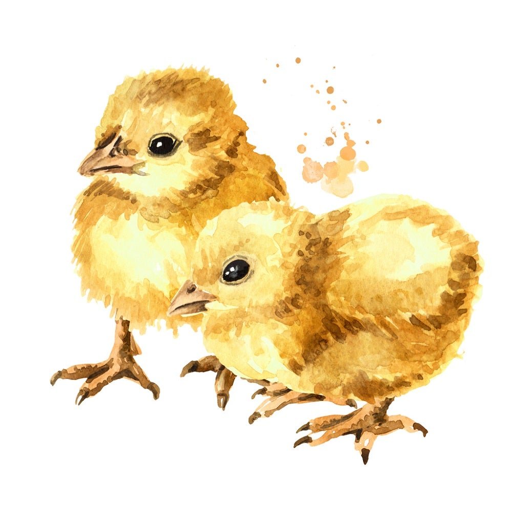 Watercolor Chicks Fabric Panel