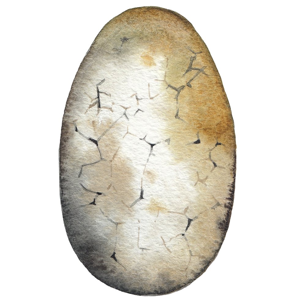 Watercolor Dinosaur Egg Style #3 Fabric Panel