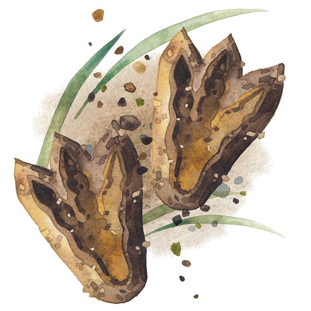 Watercolor Dinosaur Footprints Fabric Panel