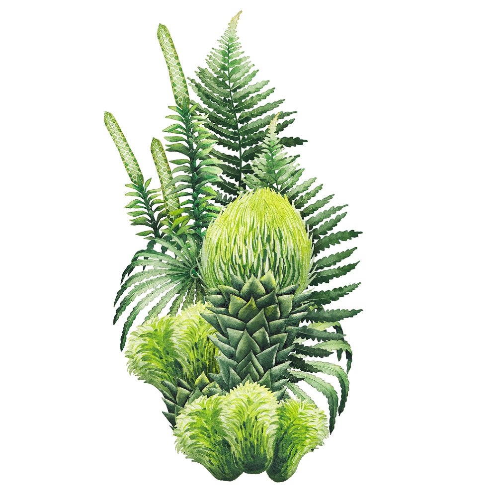 Watercolor Dinosaur Plants Style #1 Fabric Panel