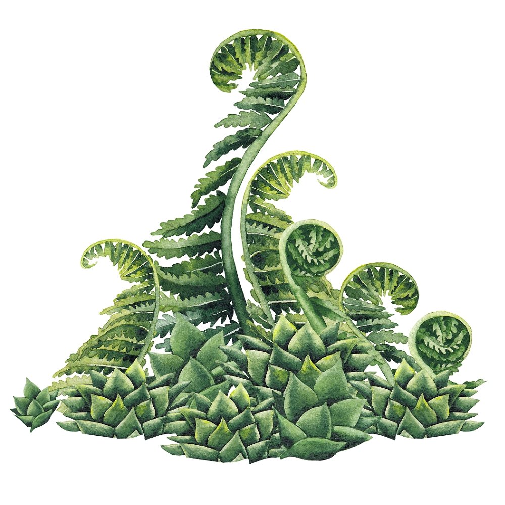 Watercolor Dinosaur Plants Style #2 Fabric Panel