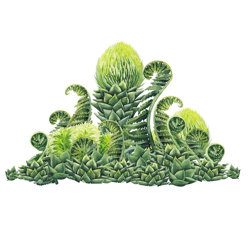 Watercolor Dinosaur Plants Style #3 Fabric Panel