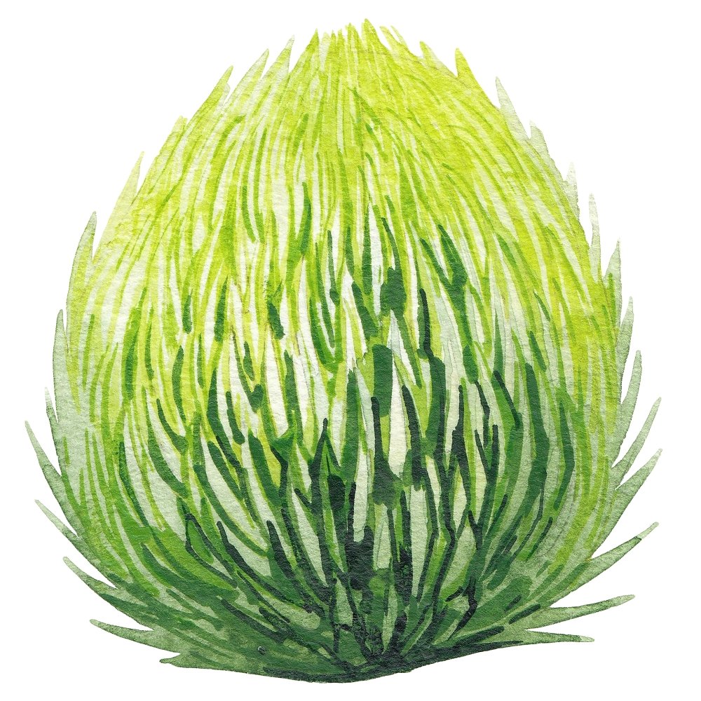 Watercolor Dinosaur Plants Style #4 Fabric Panel