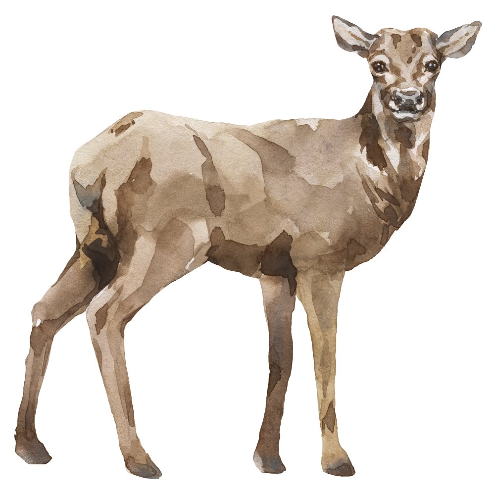 Watercolor Deer Fabric Panel - Brown