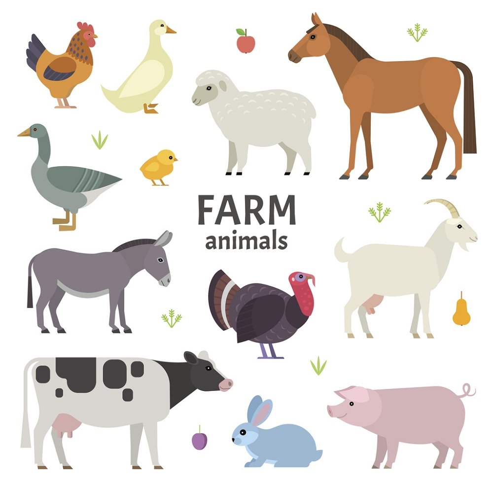 Various Farm Animal Fabric Panel - White