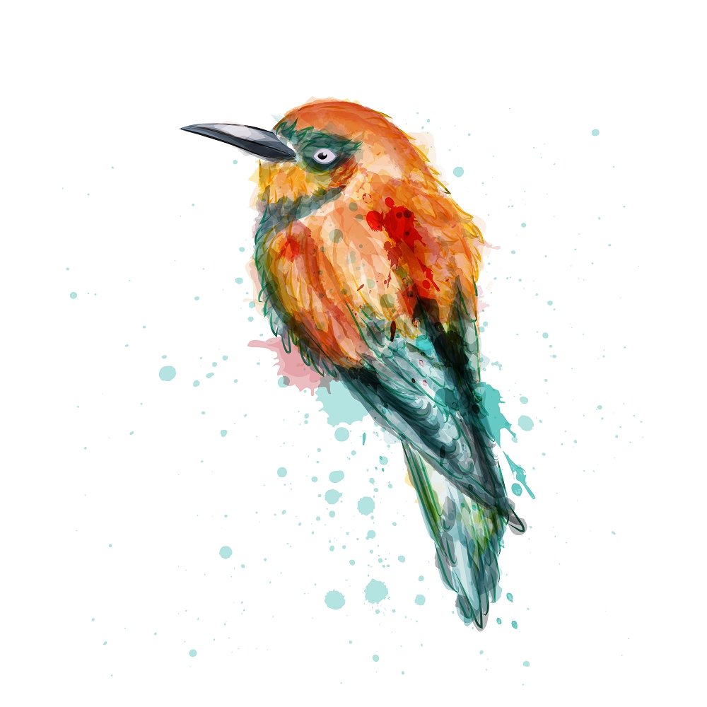 Tropical Kingfisher Fabric Panel - Orange/Teal