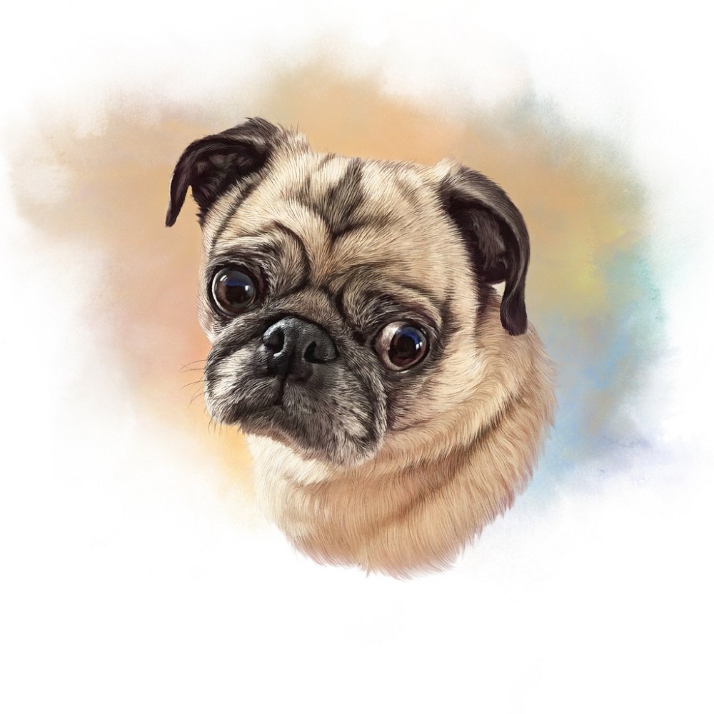 Tan & Black Pug Portrait Fabric Panel