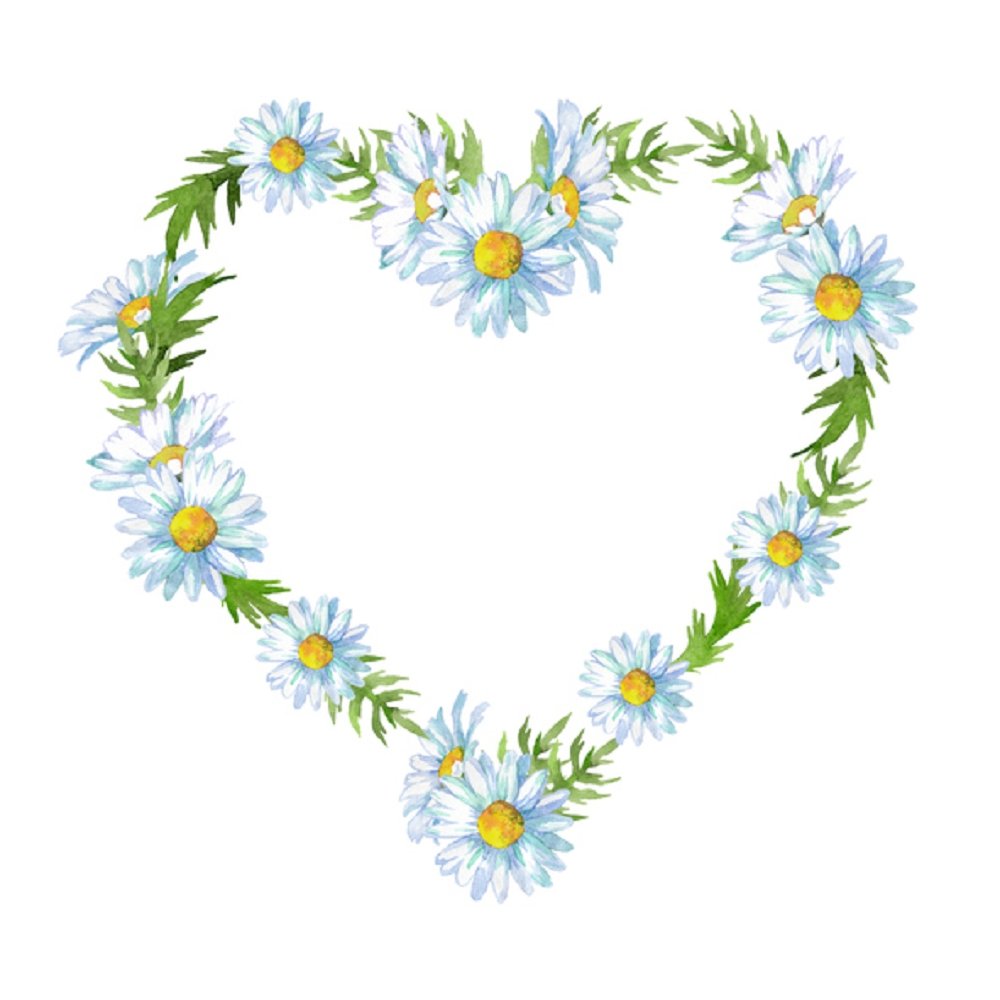 Watercolor Floral, Heart Daisy Flower Fabric Panel - White