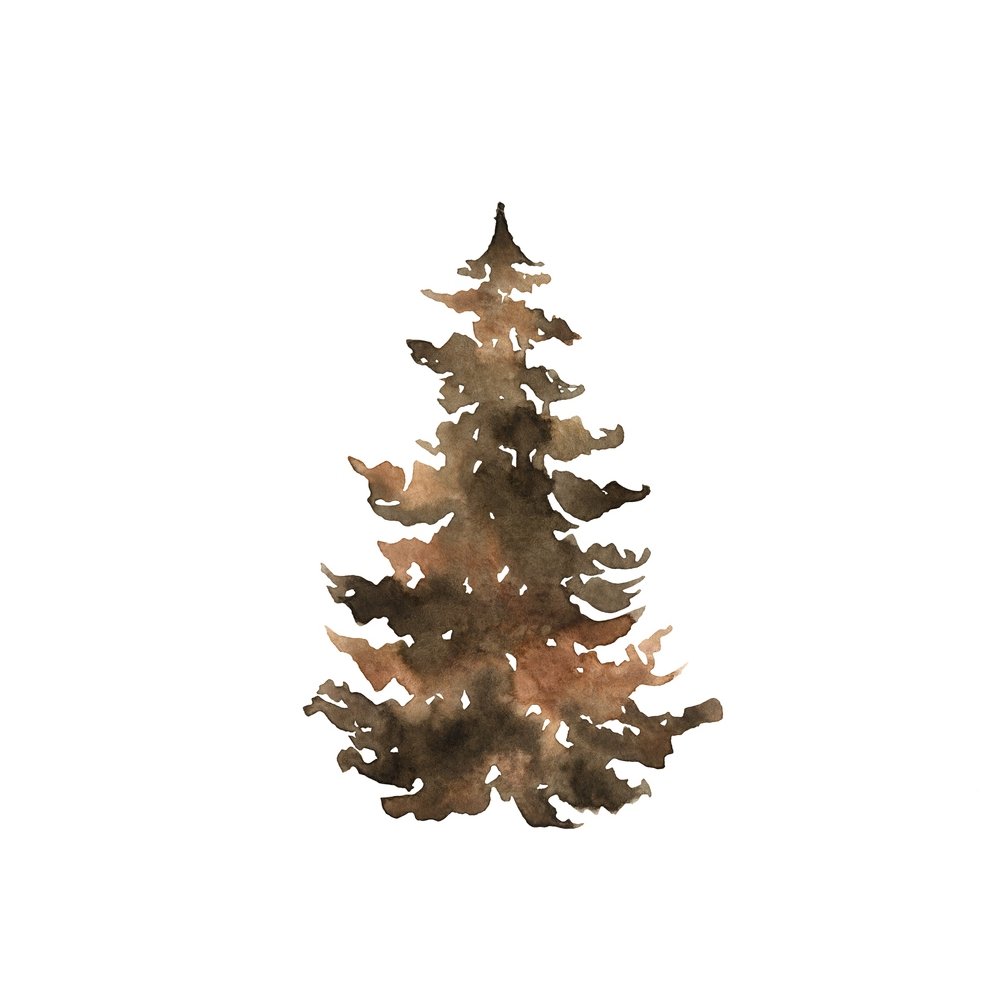 Watercolor Fir Tree Fabric Panel - Brown