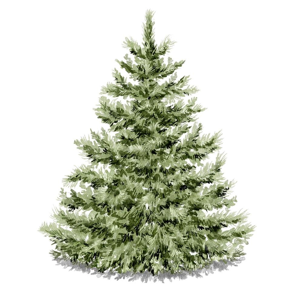 Watercolor Evergreen Fabric Panel