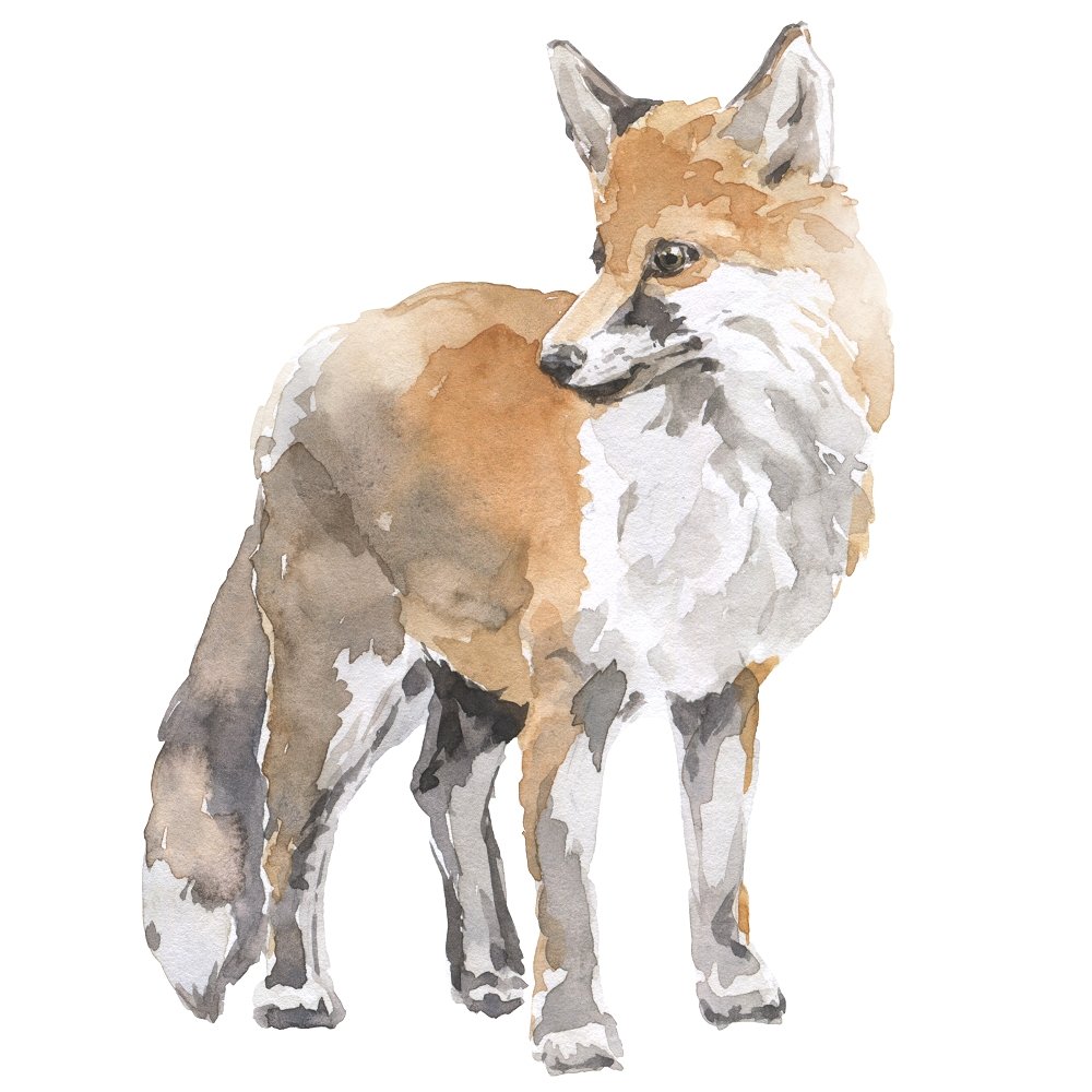 Watercolor Fox Fabric Panel