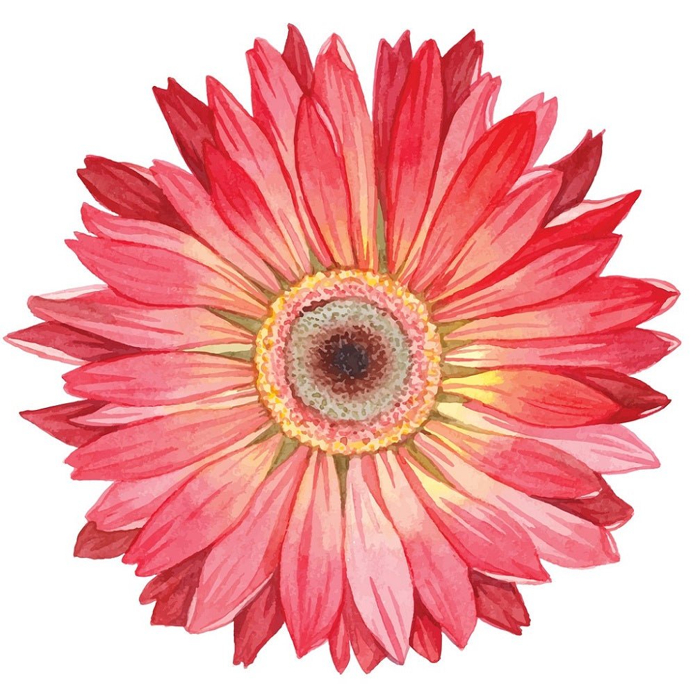 Watercolor Red Gerbera Flowers Fabric Panel