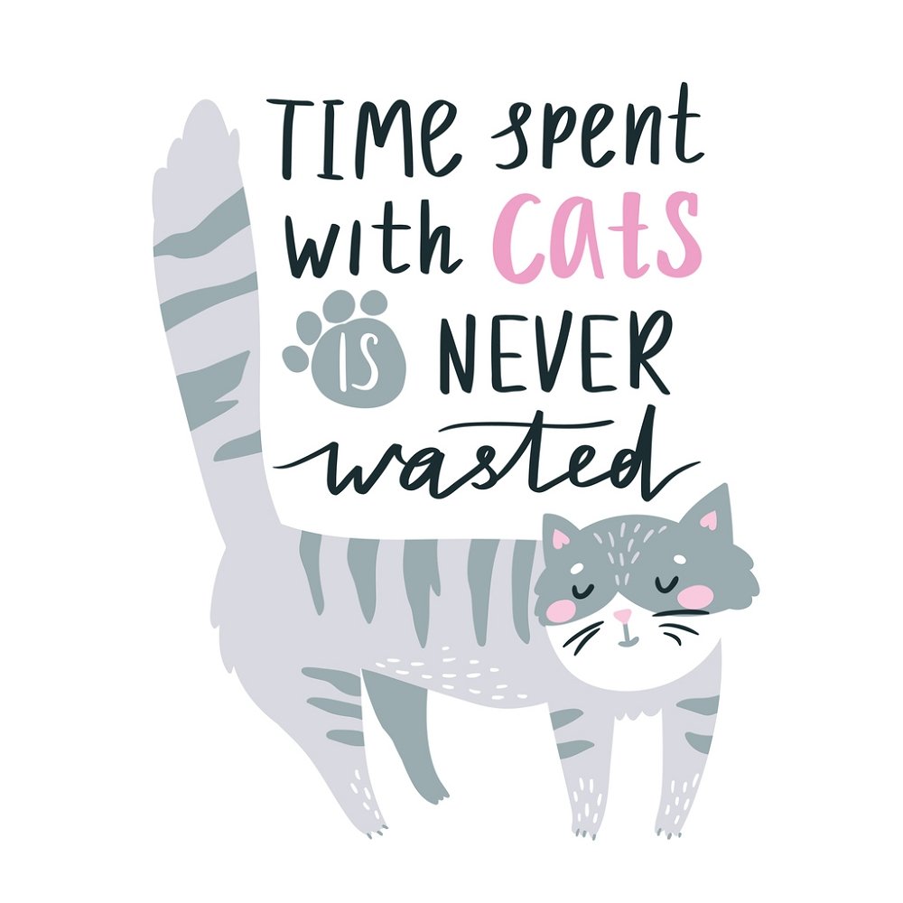 Time Spent With Cats Fabric Panel