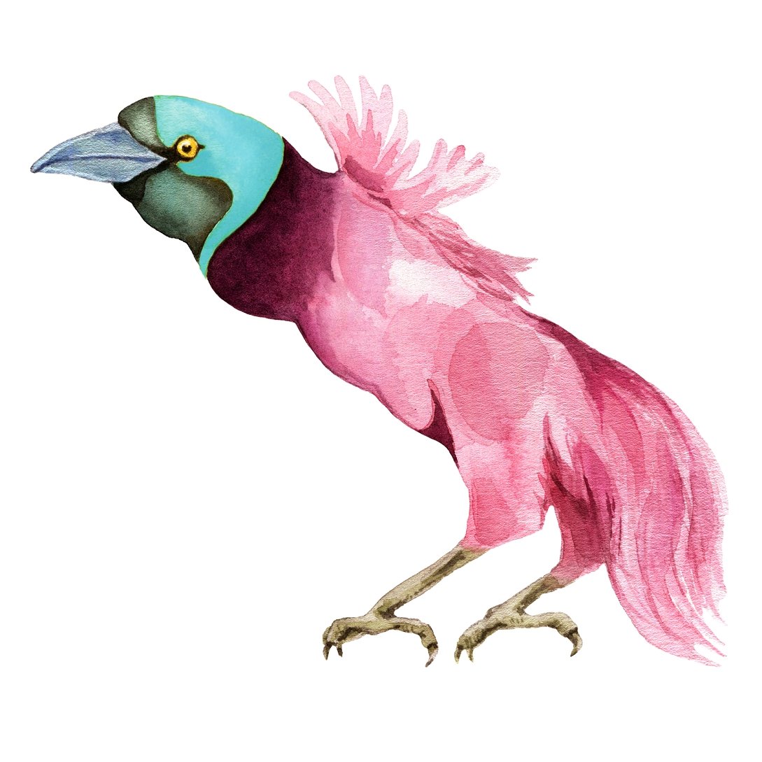 Tropical Love Parrot with Blue Face Fabric Panel