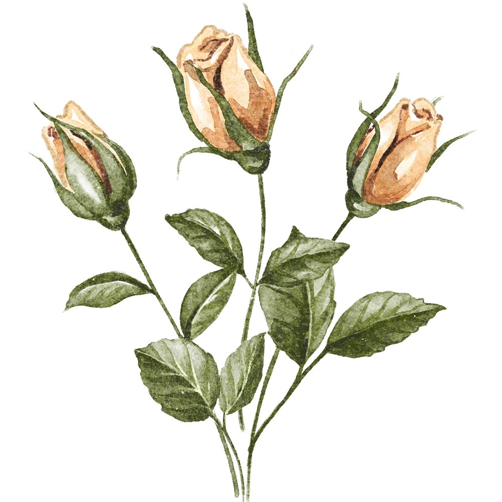 Three Unbloomed Vintage Roses Fabric Panel