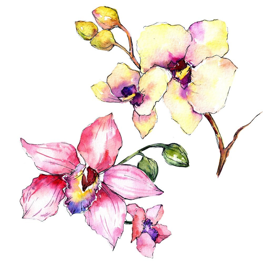 Watercolor Wildflower Orchid #2 Fabric Panel