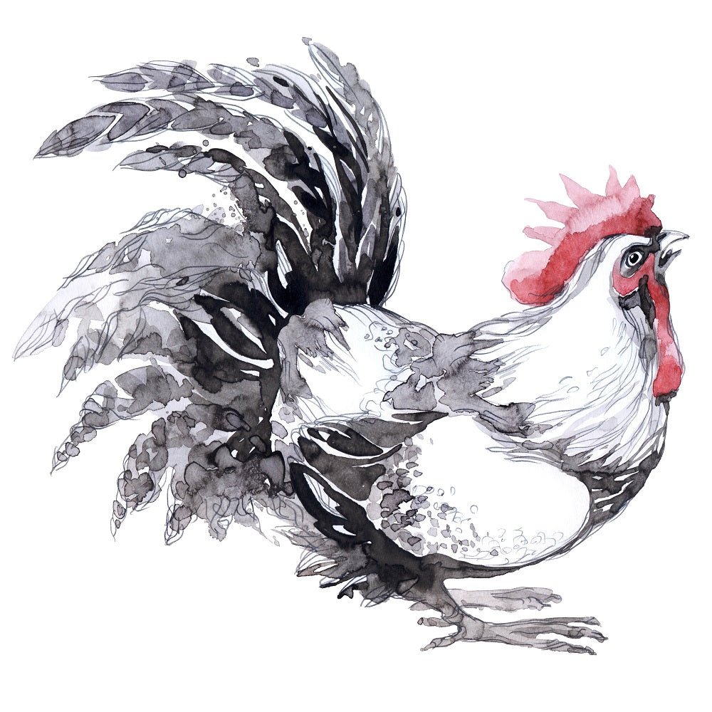 Watercolor Crouching Rooster Fabric Panel