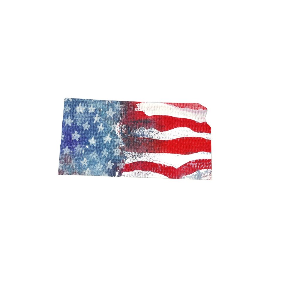 Watercolor Textured Flag Fabric Panel - Kansas
