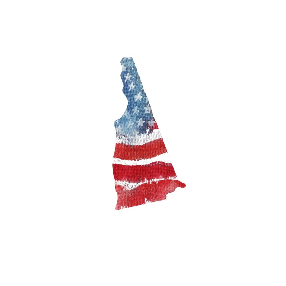 Watercolor Textured Flag Fabric Panel - New Hampshire