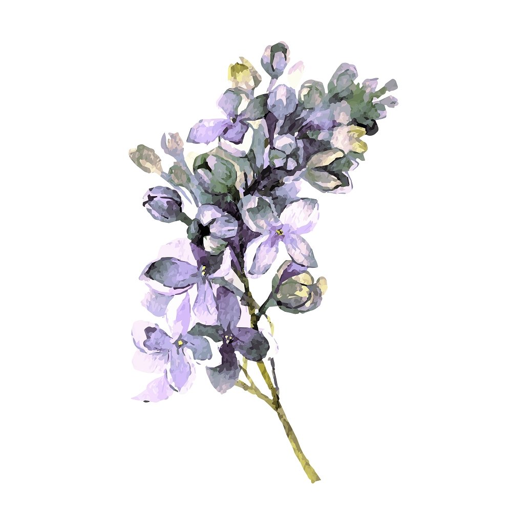 White Lilac Fabric Panel Variation 1