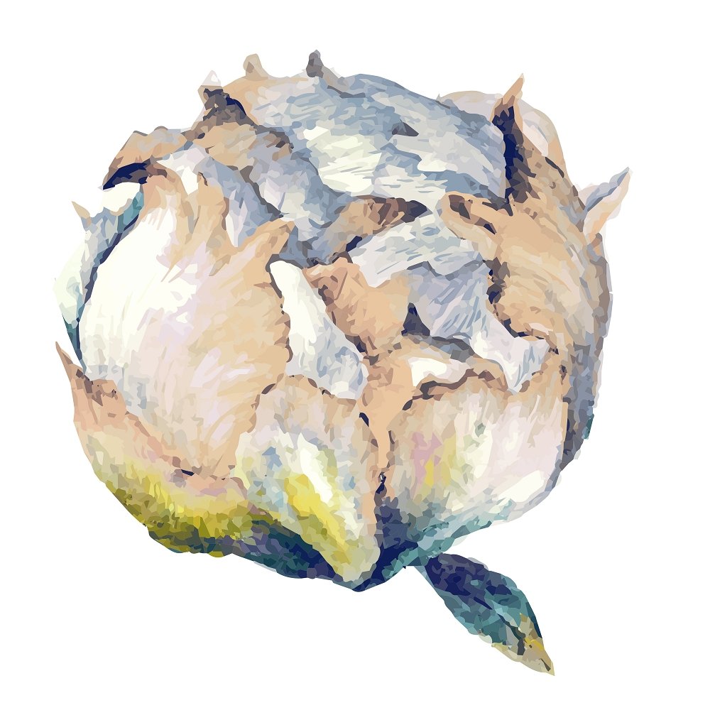 White Peony Bud Fabric Panel Variation 1